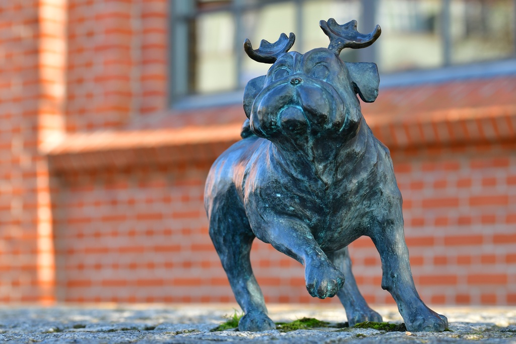 2026-01-08 Brandenburg an der Havel/Waldmöpse/DSC_2272.JPG